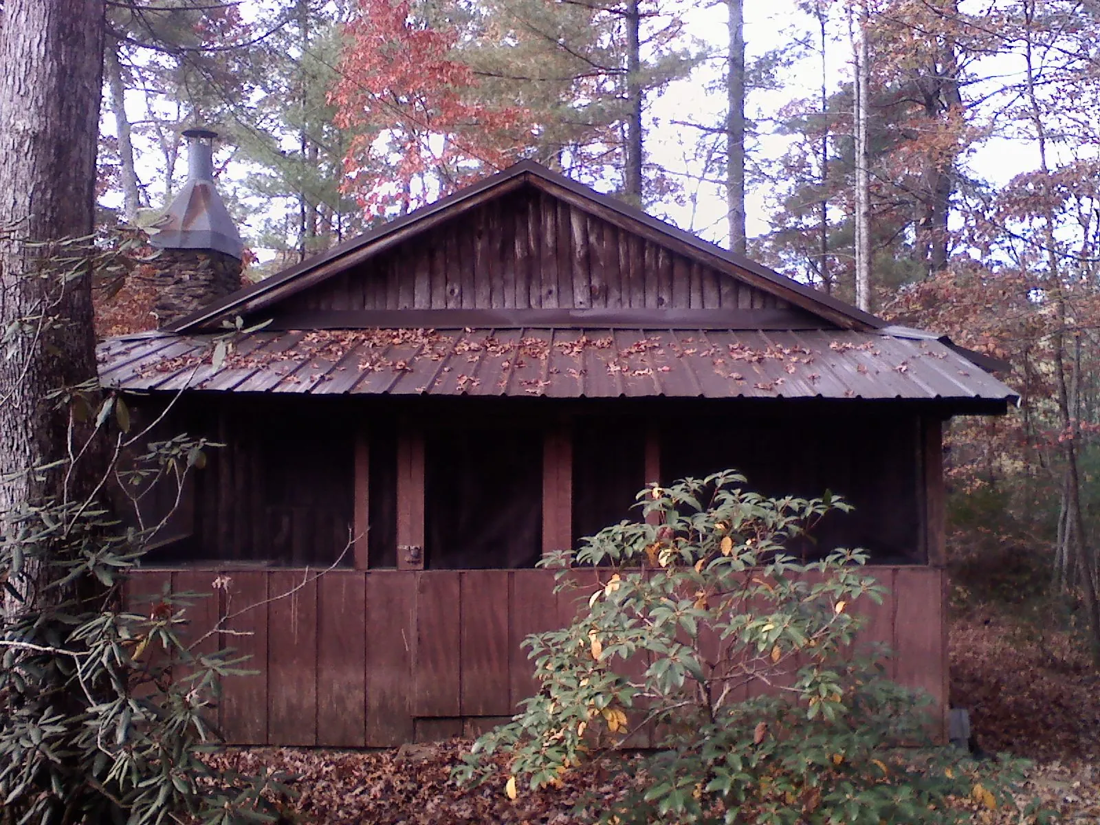 Metal roof over the screened porch of a rustic cabin in Palmyra